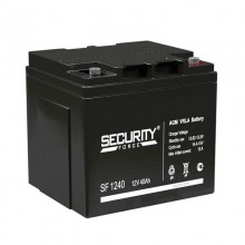 Аккумуляторная батарея Delta (Security Force SF) SF 1240 12В/40Ач, клемма Болт М6 (197х165х170мм (170мм); кг; Срок служб арт.:4614030010011