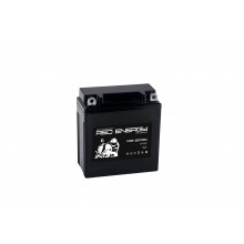 Delta Стартерный мото аккумулятор (RED ENERGY) RS 1205.1 12В/5Ач, клемма Болт + гайка Ø 5 мм (120х61х130мм (135мм арт.:3401070030007